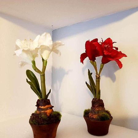 Apartamento Cortadura Beach Cádiz Buitenkant foto