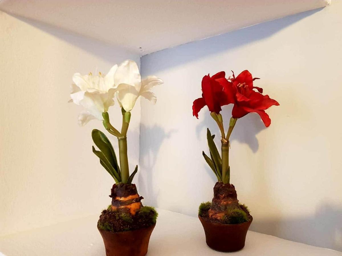 Apartamento Cortadura Beach Cádiz Buitenkant foto